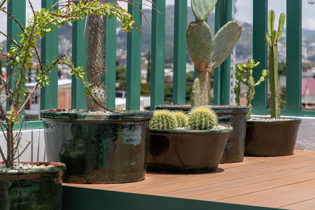 Holt - Villa Noria - La Casa Del Barro Verde Oaxaca Экстерьер фото
